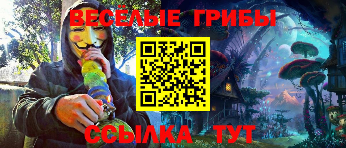 Саранск  Псилоцибиновые грибы мухоморы  Вход с VPN 
