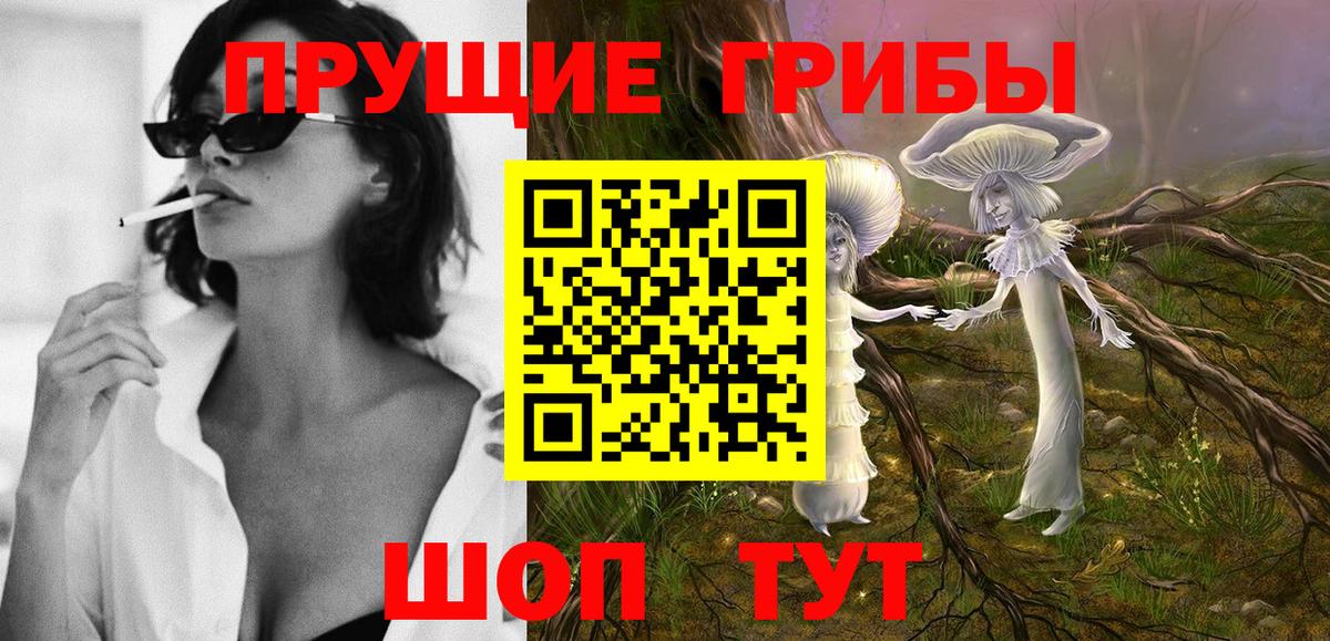 Псилоцибиновые грибы Cubensis Саранск